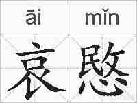 哀愍的拼音