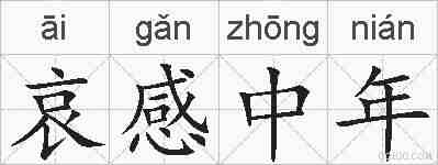 哀感中年的拼音