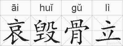 哀毁骨立的拼音