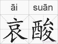哀酸的拼音