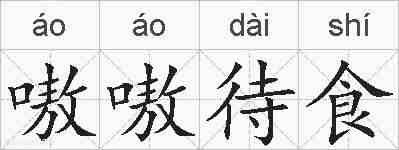 嗷嗷待食的拼音