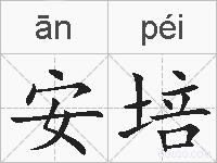 安培的拼音
