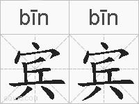 宾宾的拼音