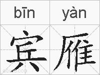 宾雁的拼音