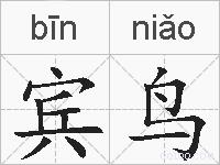宾鸟的拼音