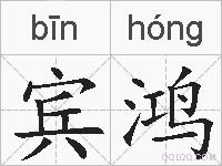 宾鸿的拼音