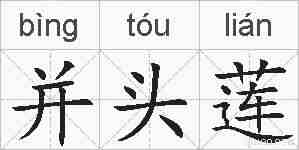 并头莲的拼音