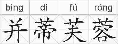 并蒂芙蓉的拼音