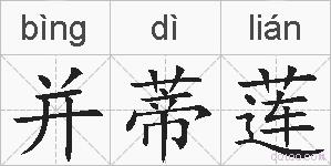 并蒂莲的拼音