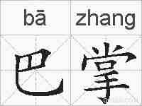 巴掌的拼音