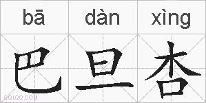巴旦杏的拼音