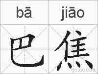 巴焦的拼音