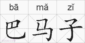 巴马子的拼音