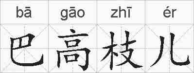 巴高枝儿的拼音