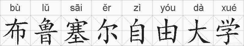 布鲁塞尔自由大学的拼音