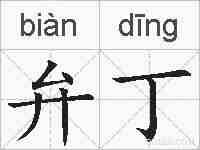弁丁的拼音