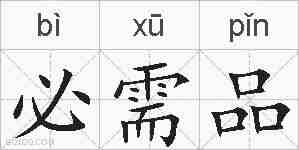 必需品的拼音