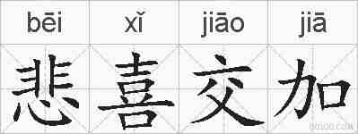 悲喜交加的拼音