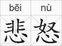 悲怒的拼音