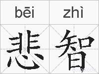 悲智的拼音