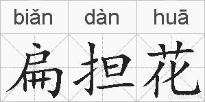 扁担花的拼音