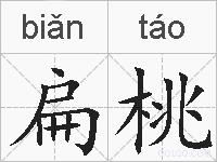扁桃的拼音