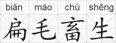 扁毛畜生的拼音