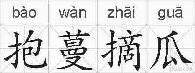 抱蔓摘瓜的拼音