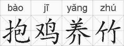 抱鸡养竹的拼音