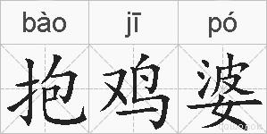 抱鸡婆的拼音