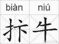 抃牛的拼音