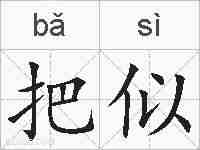 把似的拼音