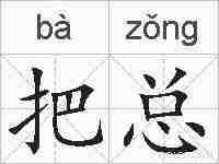 把总的拼音