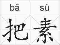把素的拼音