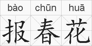 报春花的拼音