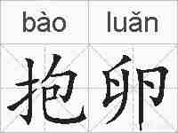抱卵的拼音