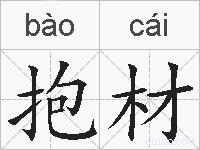 抱材的拼音