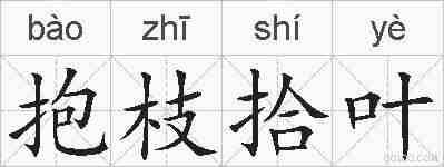 抱枝拾叶的拼音