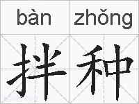 拌种的拼音