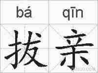 拔亲的拼音