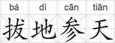 拔地参天的拼音