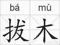 拔木的拼音