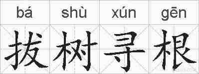 拔树寻根的拼音
