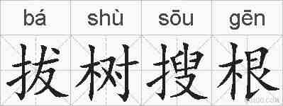 拔树搜根的拼音