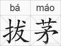 拔茅的拼音