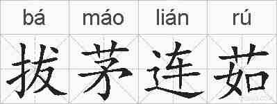 拔茅连茹的拼音