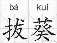 拔葵的拼音