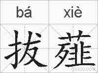 拔薤的拼音