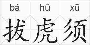 拔虎须的拼音