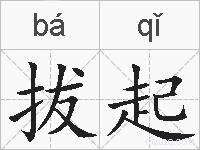 拔起的拼音